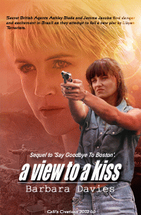 Calli's Cover for A View to a Kiss